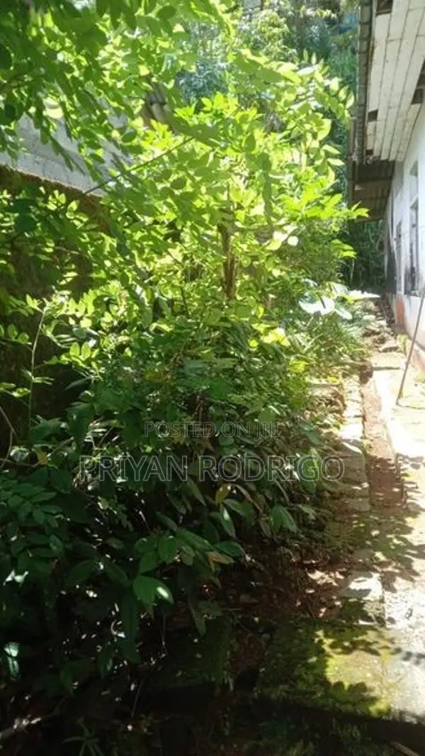 Yatiyantota, 20.7 Perch Land with Old liveable House for Sale