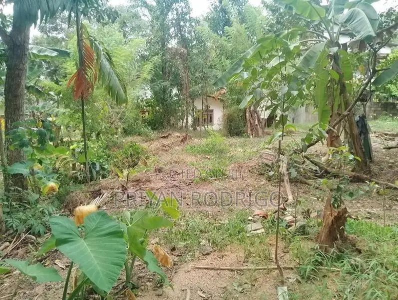 Gampaha, Mudungoda - Square Shaped Bare Land for Sale