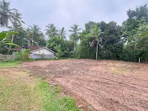 Valuable 38-Perch Land for Sale in Dunagaha, Minuwangoda.