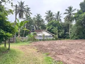Valuable 38-Perch Land for Sale in Dunagaha, Minuwangoda.