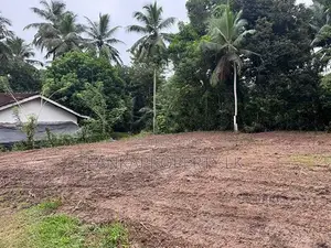 Valuable 38-Perch Land for Sale in Dunagaha, Minuwangoda.