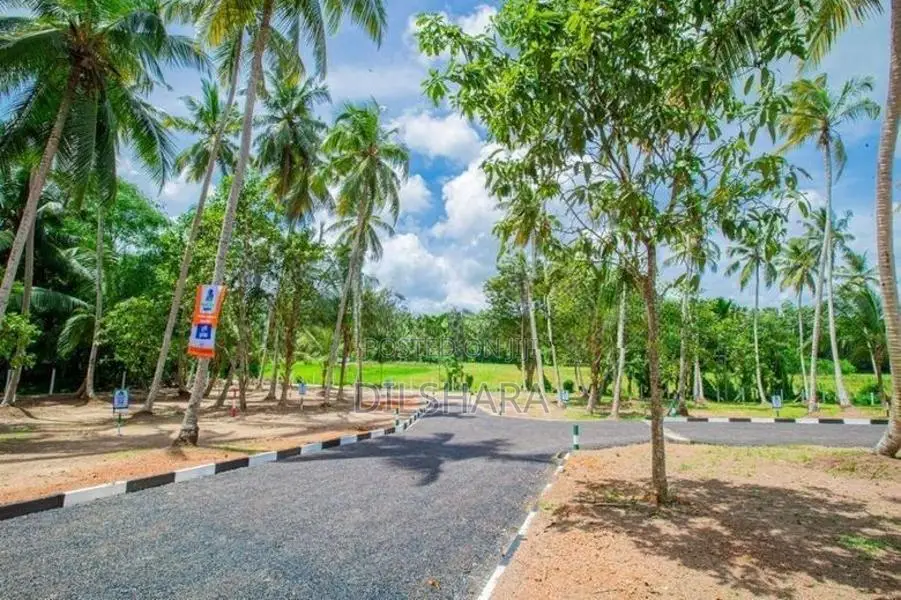 වෙල් යායාකට මුහුණලා ඉඩමක් දික්වැල්ල පාරෙන්