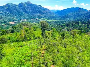 189 Acre Estate & 70 Perches Commercial Land for Immediate Sale.