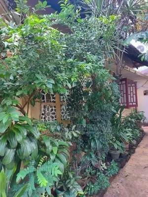 House for sale in Negombo Town