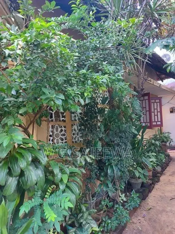 House for sale in Negombo Town