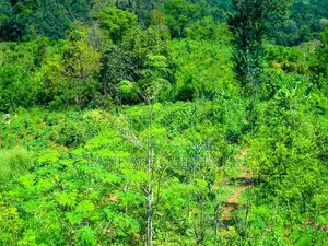 189 Acre Estate & 70 Perches Commercial Land for Immediate Sale.