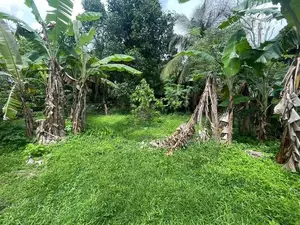 Residential Land For Sale In Pitakotte