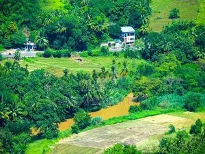 189 Acre Estate & 70 Perches Commercial Land for Immediate Sale.