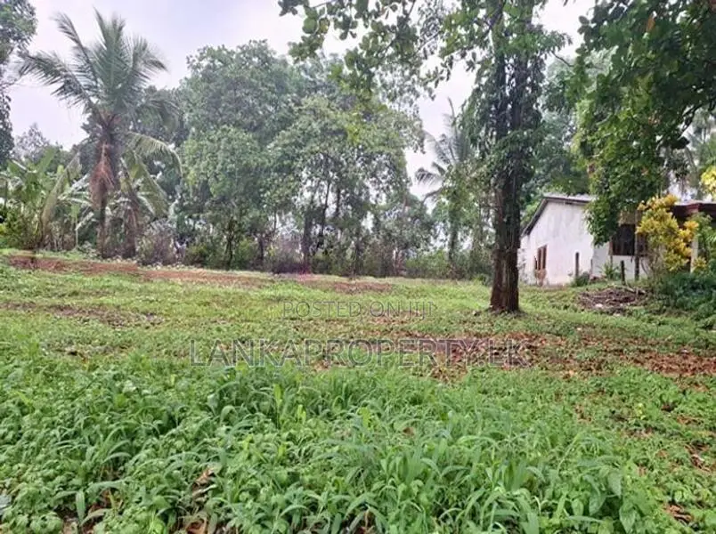 Residential 14 perches Land for Sale in Uruwala, Weliveriya