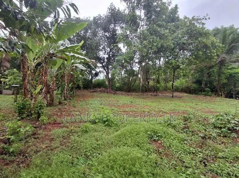 Residential 14 perches Land for Sale in Uruwala, Weliveriya