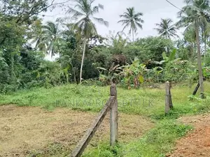 Agricultural Land for Sale – Wathumulla
