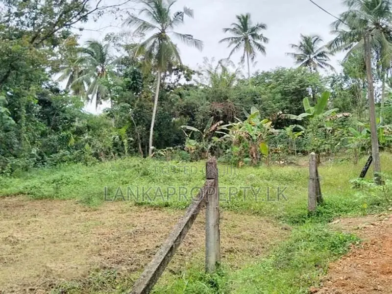 Agricultural Land for Sale – Wathumulla