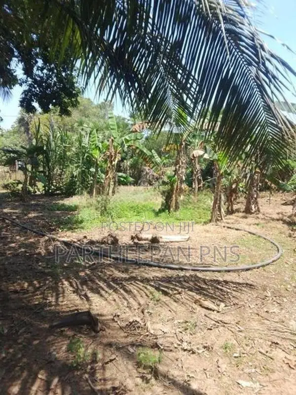 Land for Sale Muthur