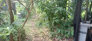 මකොලින් අගනා නිවසක් සහිතව ඉඩමක්