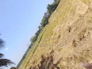 Land for Sale Muthur