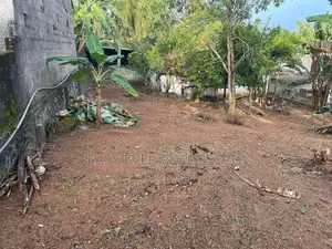 ගනේමුල්ලේ වටිනා බිම්කොටසක්