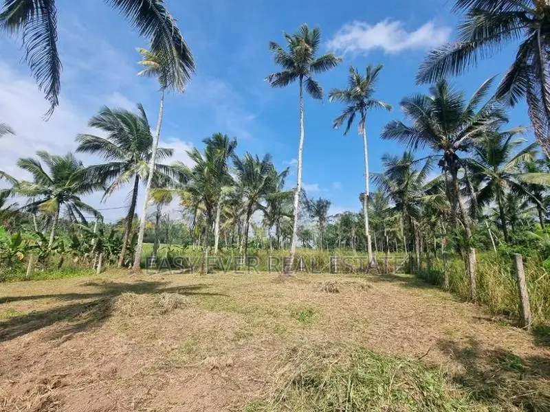මීරිගමෙන් පර්චස් 16 ක වටිනා බිම් කොටසක්