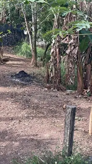 ගනේමුල්ලේ වටිනා බිම්කොටසක්