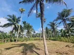 මීරිගමෙන් පර්චස් 16 ක වටිනා බිම් කොටසක්