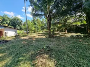 ගම්පහ දිවුලපිටිය ප්‍රධාන පාරට මුහුණලා වටිනා පොල් ඉඩමක්