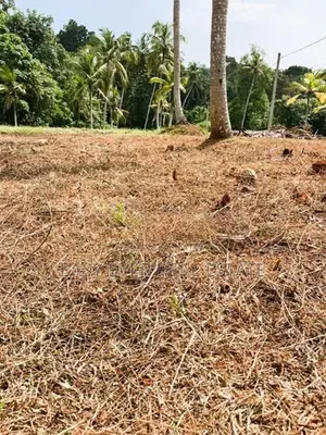 ගම්පහ උඩුගම්පොල නේවාසික බිම් කොටසක්