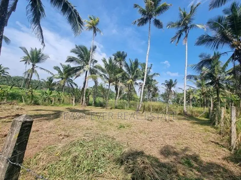 මීරිගමෙන් පර්චස් 16 ක වටිනා බිම් කොටසක්