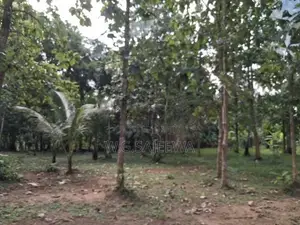 Very good for Agriculture and farming land with house sale