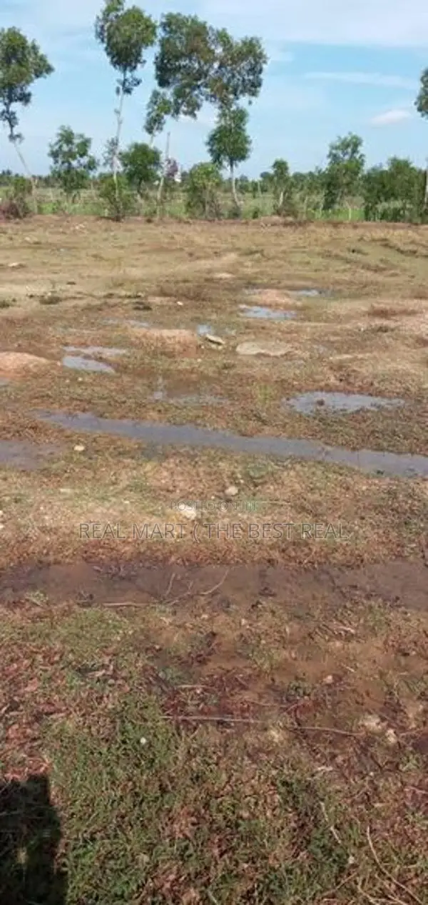 Ampara : 40P Valuable Residential Land for Sale in Sammanthurai