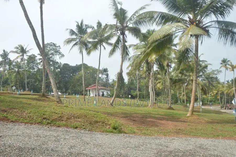 පානදුර හොඳ බිම්කොටස් කිහිපයක්