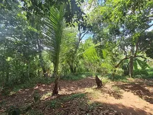 House with 35 Perches Land for Sale in Orutota, Gampaha.