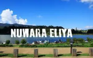 View Point Land For Sale Nuwara Eliya