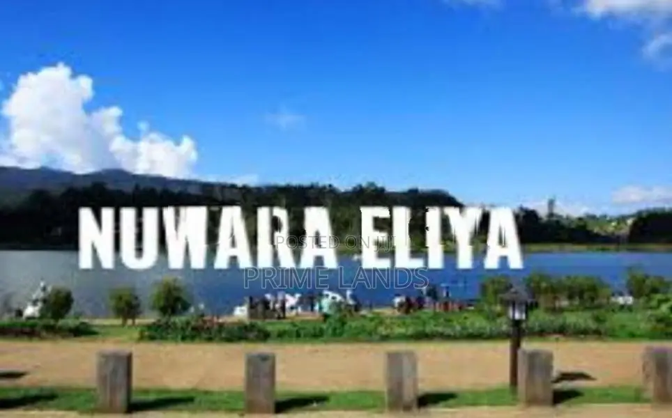 View Point Land For Sale Nuwara Eliya