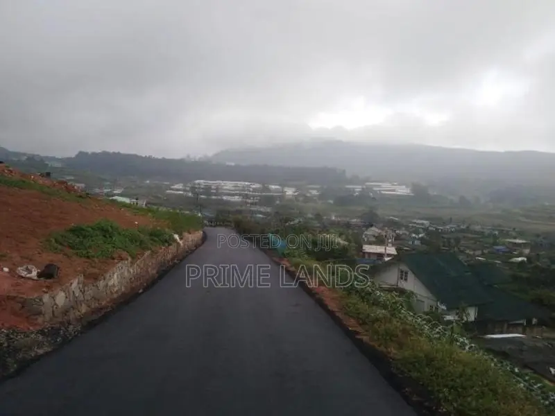 Valuable Land For Sale Nuwara Eliya