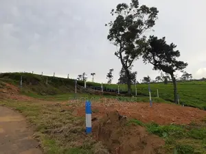 View Point Land For Sale Nuwara Eliya