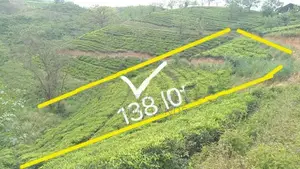 Land For Sale Hatton