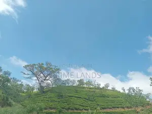 Land For Sale Hatton