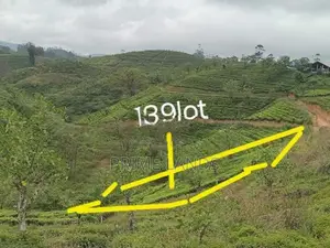 Land For Sale Hatton