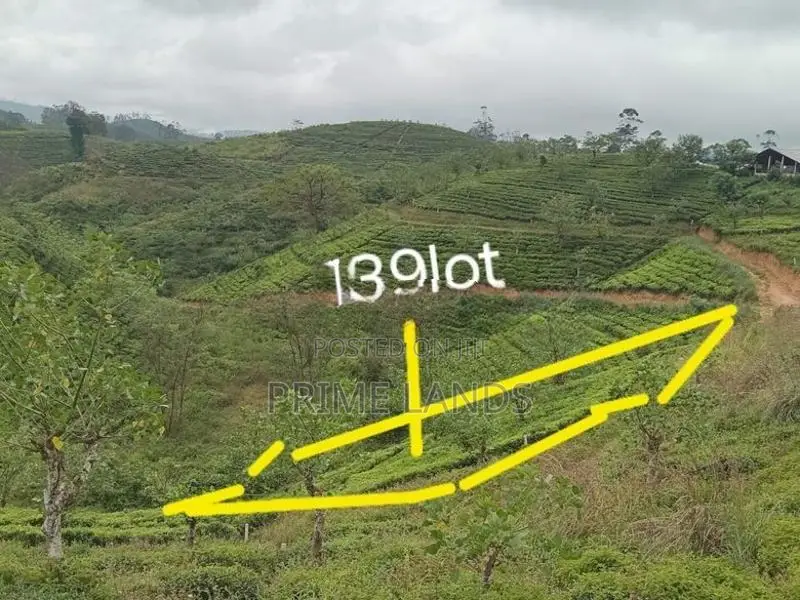 Land For Sale Hatton