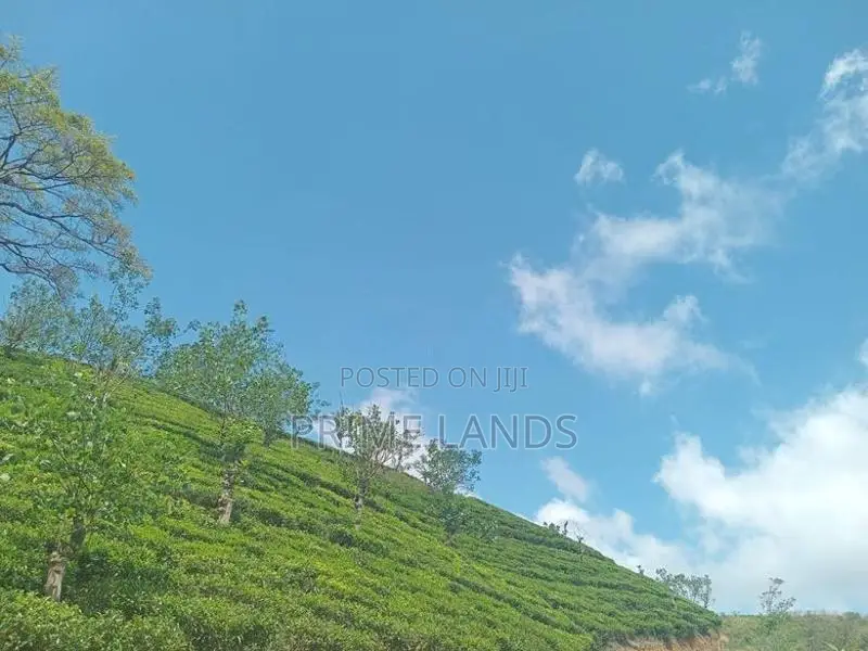 Land For Sale Hatton