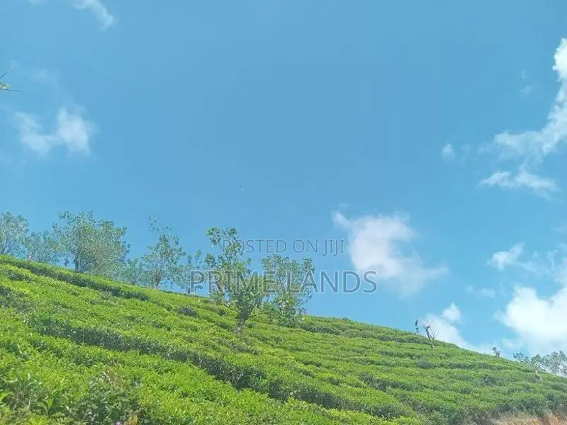 Land For Sale Hatton
