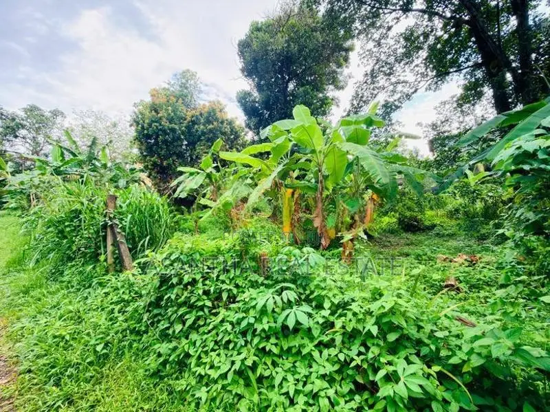 (AF908) 40 P Bare Land Sale At Temple Road Thalawathugoda