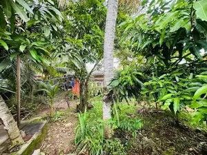 (AF914) 12P Bare Lans Sale At 9 Th Lane Borupana Rathmalana