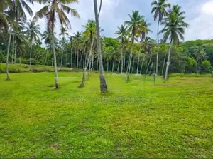 මීරිගම නගරයට ආසන්නයෙන් 13.6p බිම් කොටසක් විකිණීමට