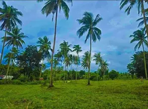 මීරිගම නගරයට ආසන්නයෙන් 13.6p බිම් කොටසක් විකිණීමට