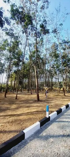 මාලමුල්ල කුරුඳුවත්ත දෙවන් අදියරේ විකීණීමට ඇති ඉඩම