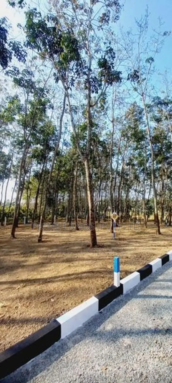 මාලමුල්ල කුරුඳුවත්ත දෙවන් අදියරේ විකීණීමට ඇති ඉඩම