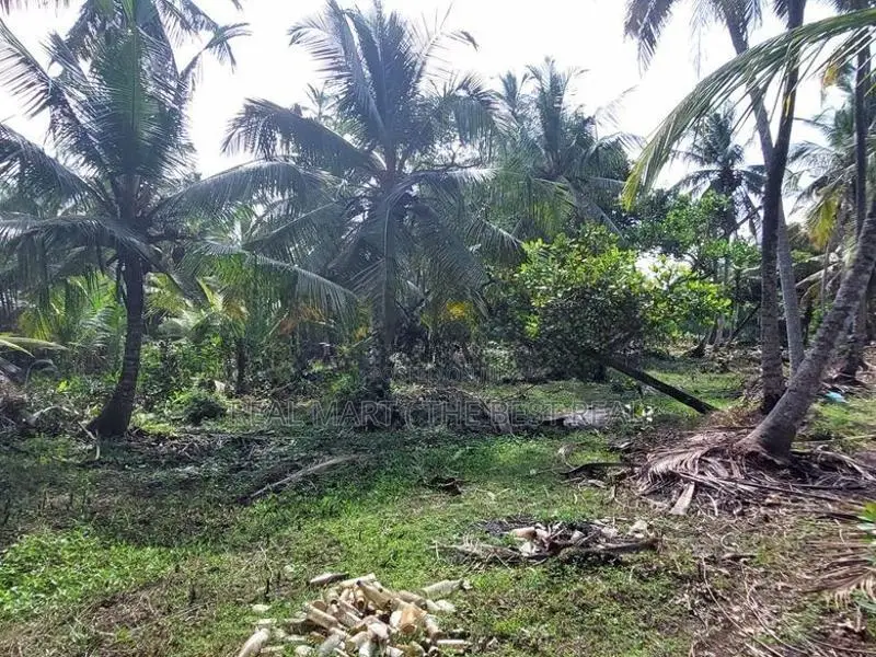 Ja-Ela : 107P Coconut Land for Sale