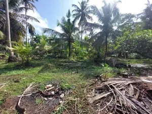 Ja-Ela : 107P Coconut Land for Sale