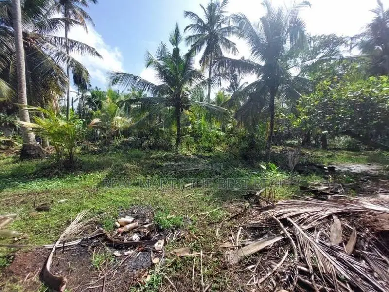 Ja-Ela : 107P Coconut Land for Sale