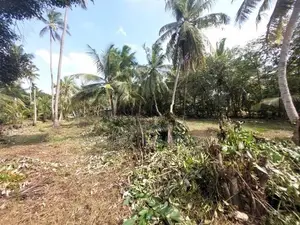 Ja-Ela : 107P Coconut Land for Sale
